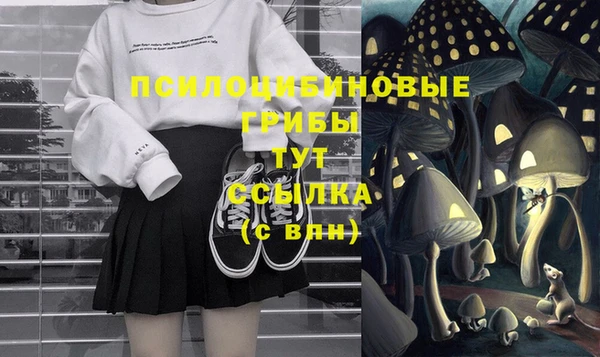 скорость Бородино