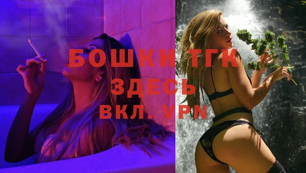 скорость Бородино