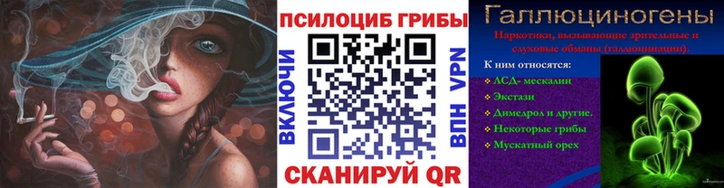 Псилоцибиновые грибы мицелий  сколько стоит  Белгород 